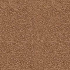 Tryanny Living Room Set