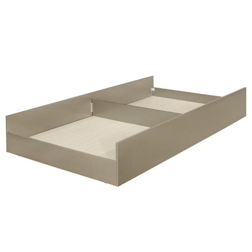 Youth Loudon Trundle/Toybox in Champagne Metallic B1515-R image