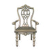 Catalonia Arm Chair in Platinum Gold (Set of 2) image